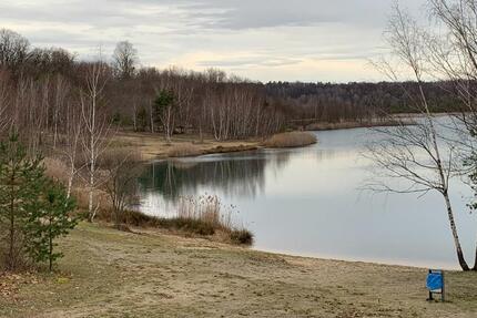 modern sanierte 2 RaumWohnung zimmer