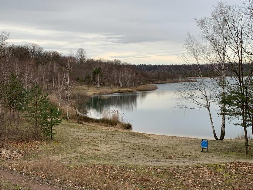 modern sanierte 2 RaumWohnung zimmer