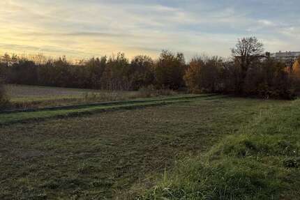 Grundstück Speyer - 485.120&euro; | Angebot:25233989