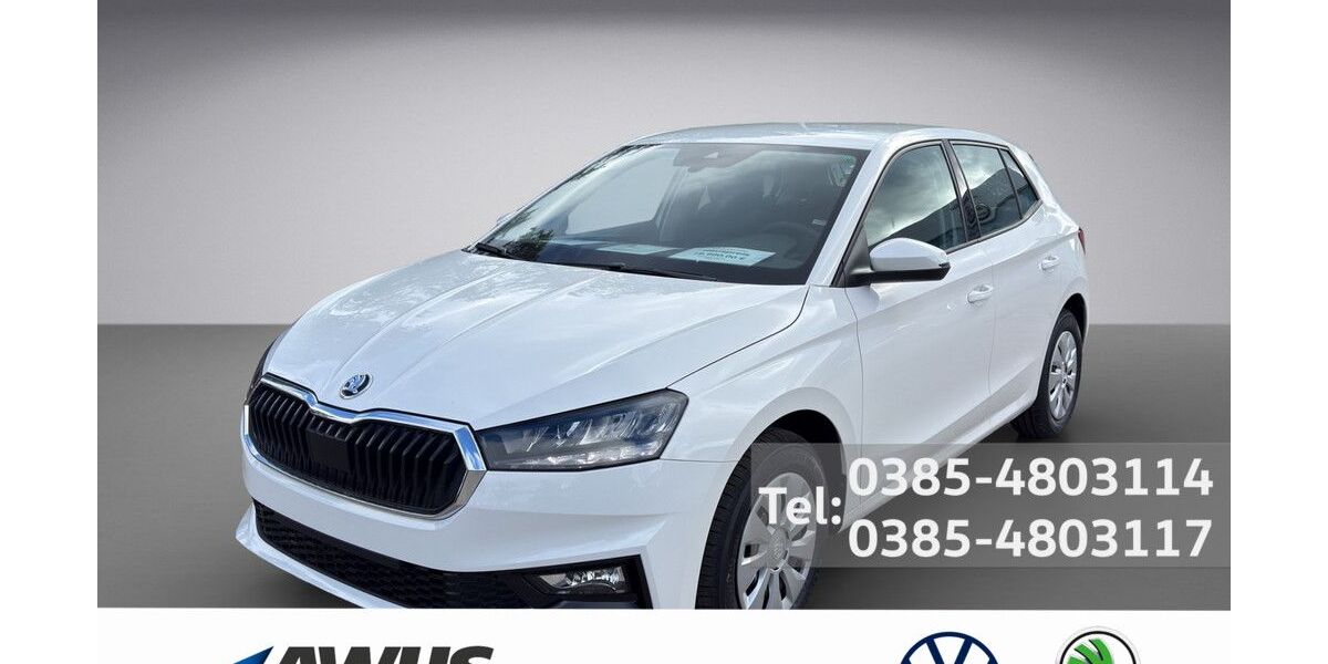 Skoda Fabia 2.500 km 19.990 &euro; Schwerin 19057