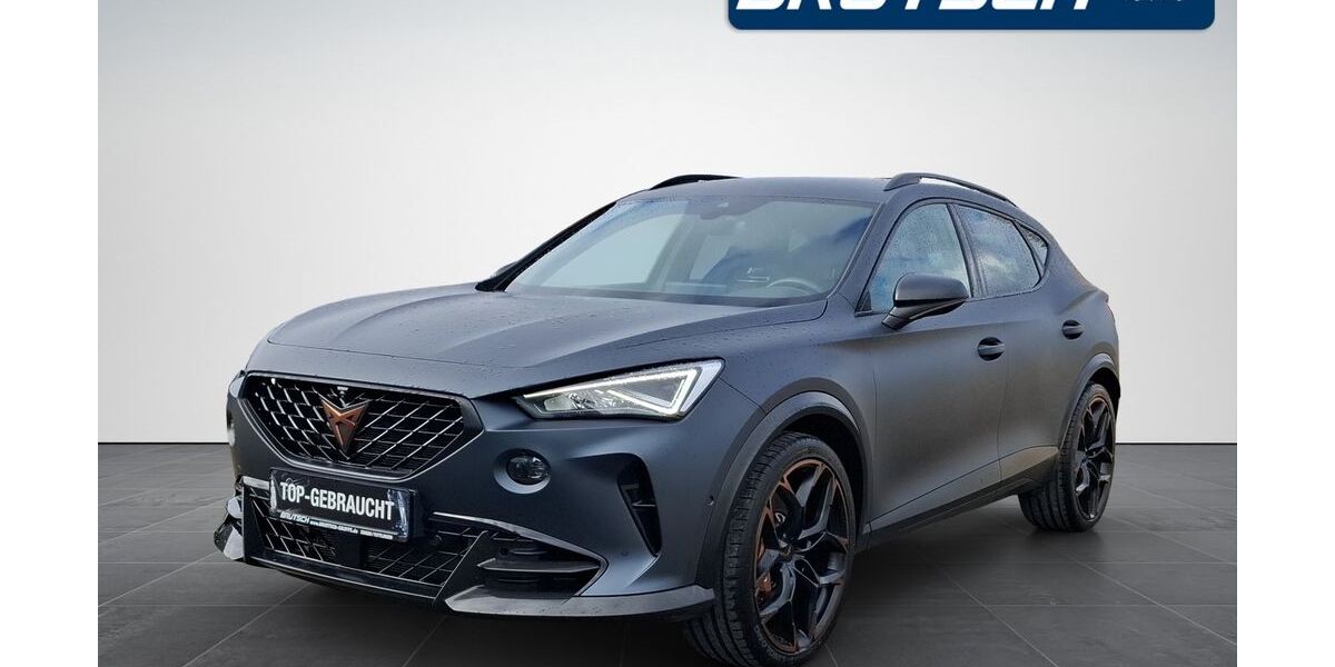 Cupra Formentor 63.100 km 39.480 &euro; Singen 78224