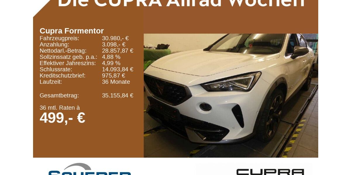 Cupra Formentor 48.450 km 30.980 &euro; Mainz 55129