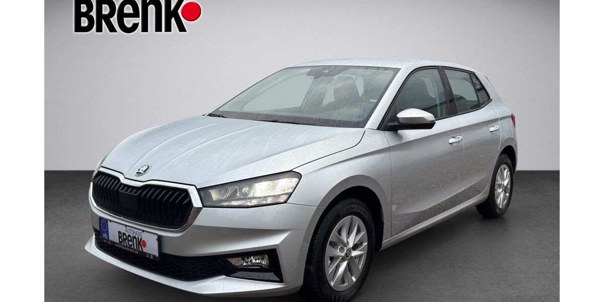 Skoda Fabia 9.100 km 17.450 &euro; Karlsruhe 76187