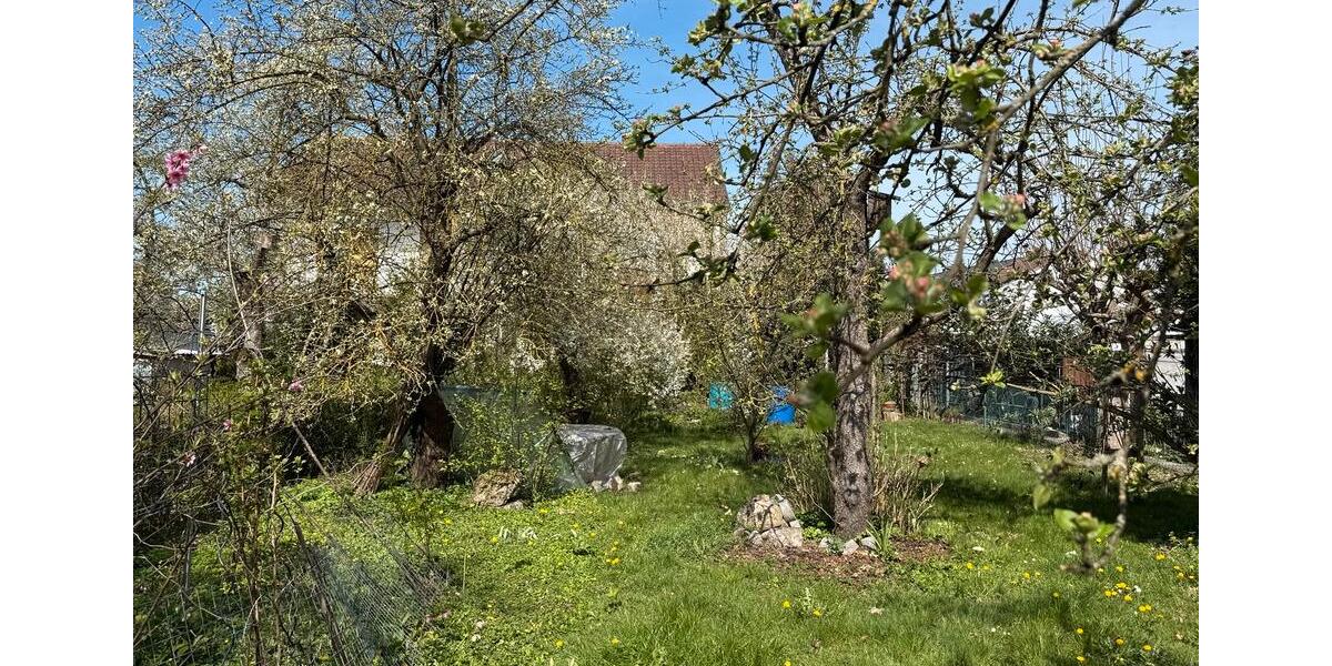 Doppelhaushälfte Ingolstadt Friedrichshofen-Hollerstauden - 4 Zimmer, 105 m&sup2;, 550.000&euro; | Angebot:26975755