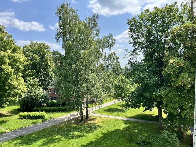 Wohnung zum Mieten in Zwickau 186 € 31 m²