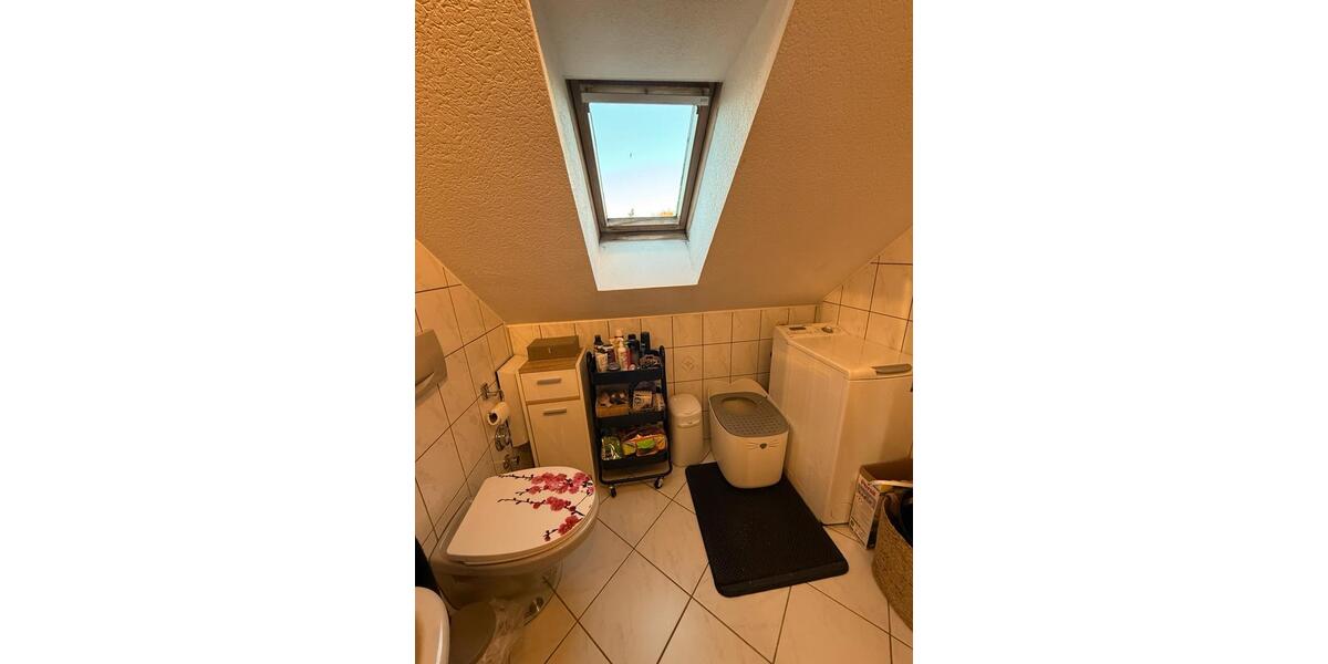 Dachgeschoßwohnung Sangerhausen - 1 Zimmer, 55 m&sup2;, 455&euro; | Angebot:26066356