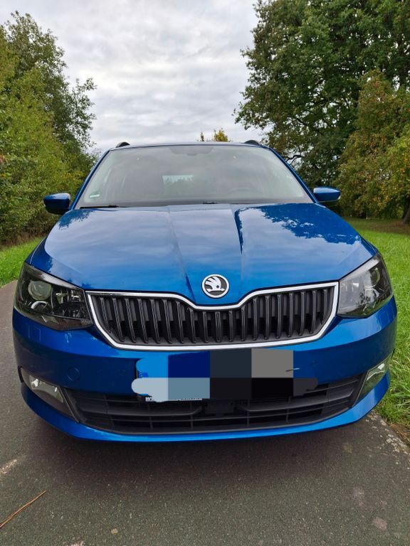 Skoda Fabia 173.000 km 6.399 € Hösbach 63768