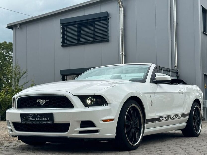 Mustang