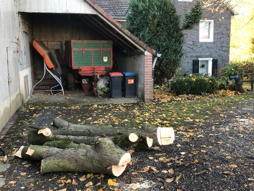 Wohnhaus mit landwirtschaftlichen Nebengebäuden zimmer