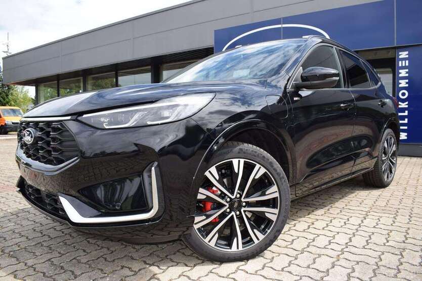 Kuga
