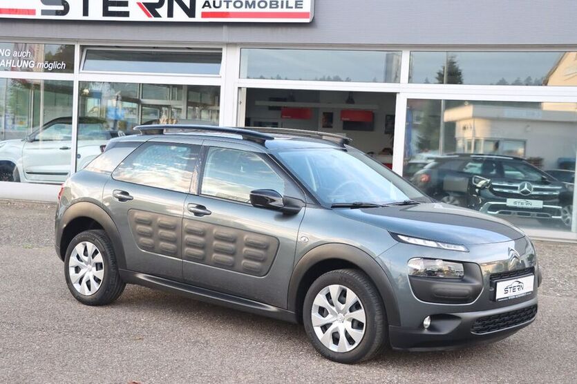C4 Cactus