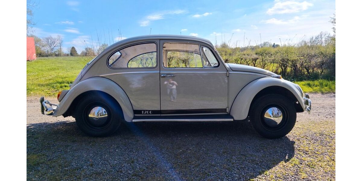 VW Käfer 68.500 km 10.950 &euro; Roetgen 52159