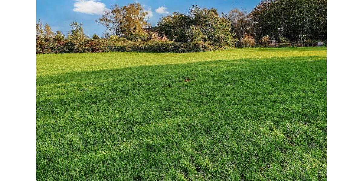 Einfamilienhaus Kalkar - 4 Zimmer, 150 m&sup2;, 1.395&euro; | Angebot:24984500