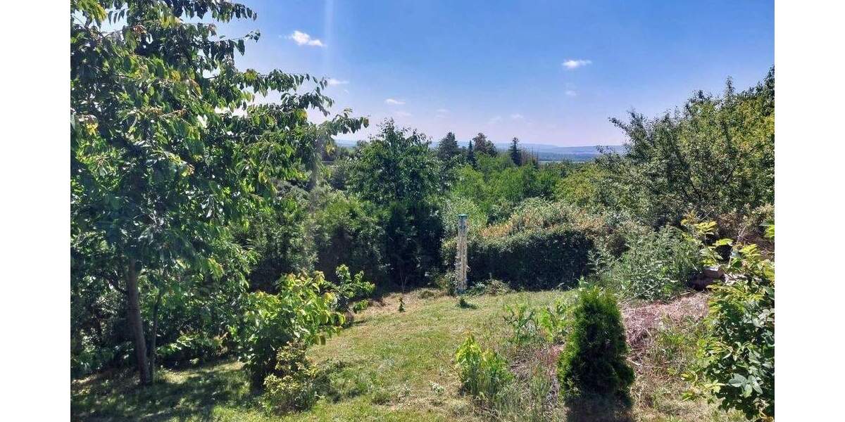Grundstück Sangerhausen - 35.000&euro; | Angebot:25743989
