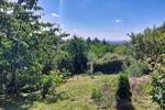 Grundstück Sangerhausen - 35.000&euro; | Angebot:25743989