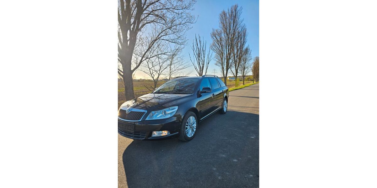 Skoda Octavia 177.000 km 4.799 &euro; Friedersdorf 06774