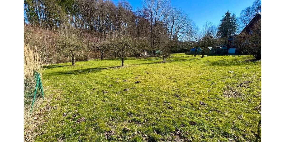 Hoberge Traumgrundstück zimmer