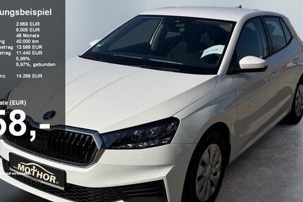 Skoda Fabia 63.636 km 14.299 &euro; Brandenburg 14770