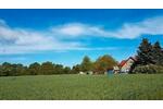 Einfamilienhaus Plessa - 5 Zimmer, 110 m&sup2;, 299.000&euro; | Angebot:26885059
