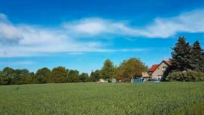 Haus Plessa - 5 Zimmer, 110 m&sup2;, 299.000&euro; | Angebot:26885059