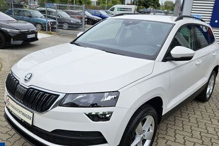 Skoda Karoq 153.927 km 13.799 &euro; Braunschweig 38106