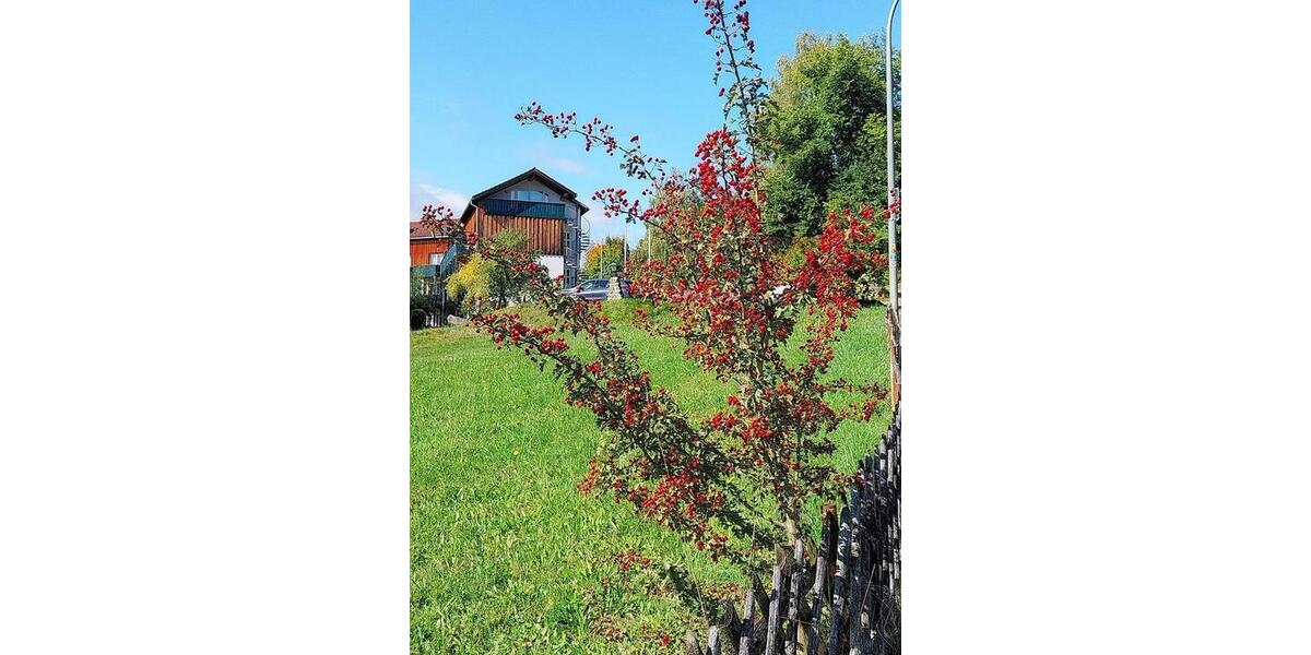 Etagenwohnung Viechtach - 1 Zimmer, 23 m&sup2;, 32.130&euro; | Angebot:25948096
