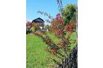 Etagenwohnung Viechtach - 1 Zimmer, 23 m&sup2;, 32.130&euro; | Angebot:25948096