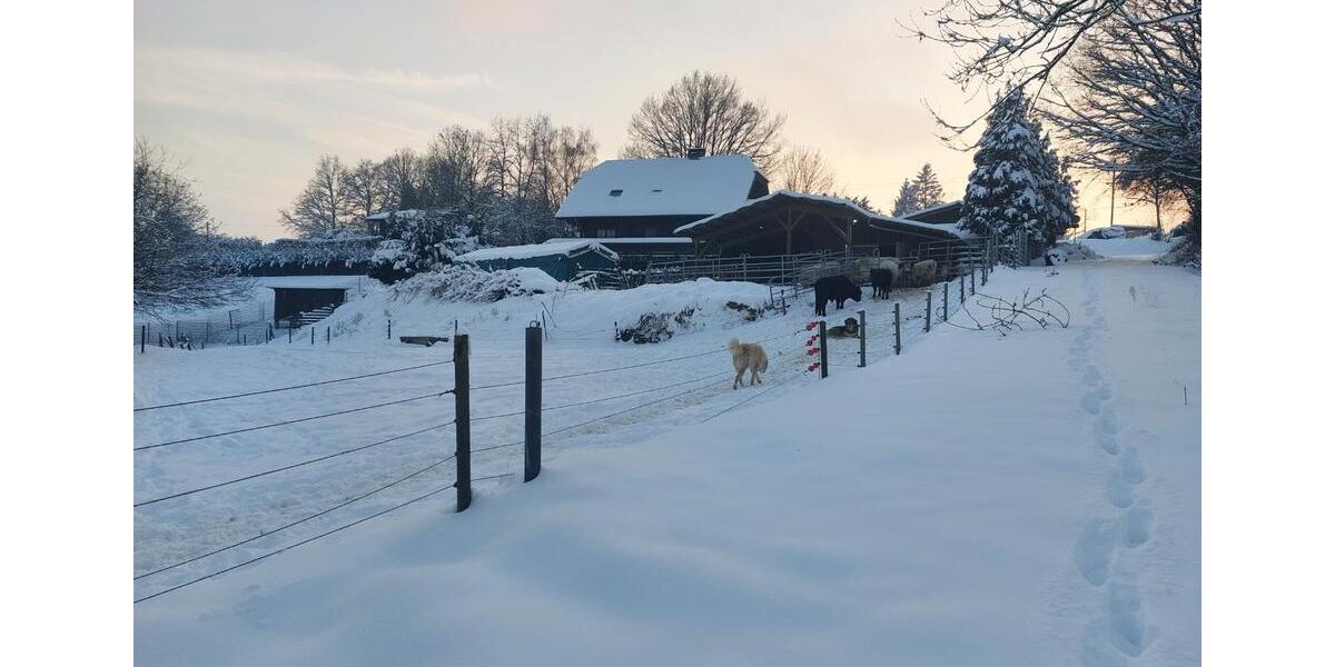 Bauernhaus, Landhaus Windeck - 765.000&euro; | Angebot:25612978