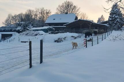 Haus Windeck - 765.000&euro; | Angebot:25612978