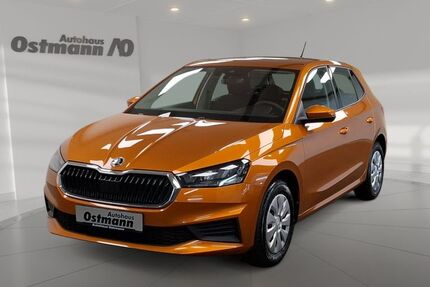 Skoda Fabia 12.272 km 15.850 € Wolfhagen 34466