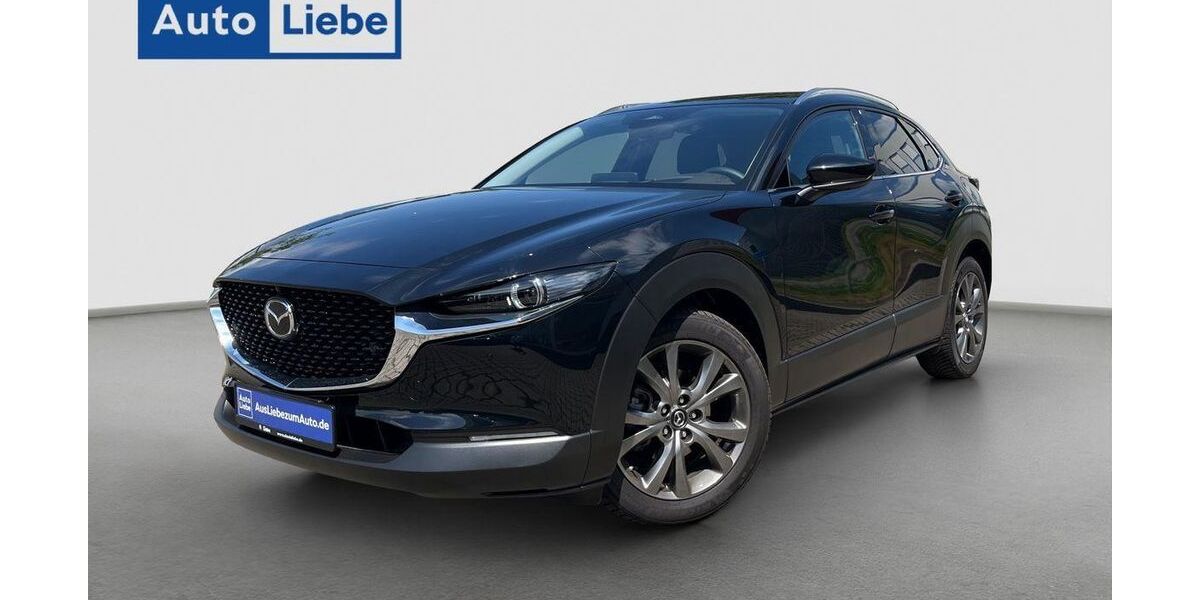 Mazda CX-30 12.093 km 27.890 &euro; Zwenkau (Leipzig) 04442