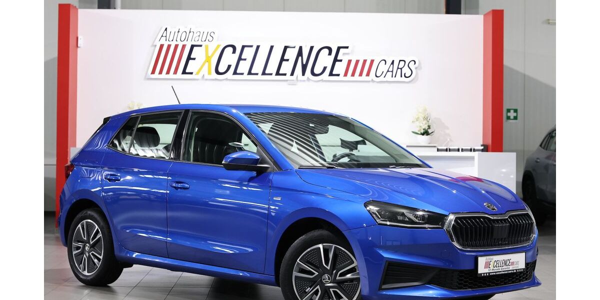 Skoda Fabia 55.000 km 13.777 &euro; Hamm 59077