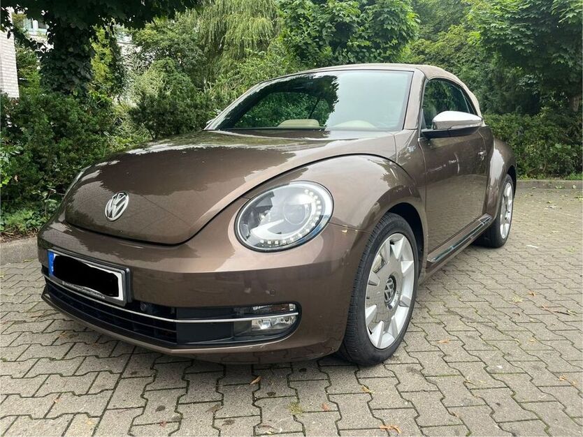 Beetle