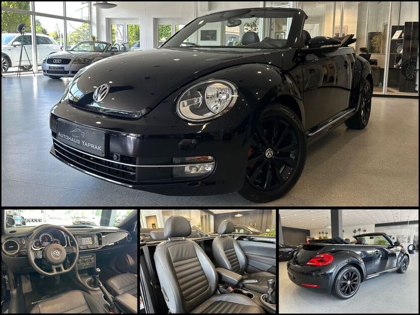 Beetle
