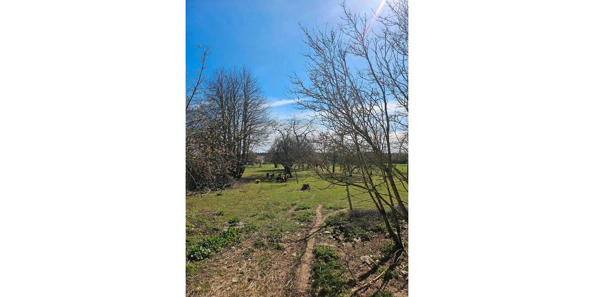 Einfamilienhaus Weißenburg in Bayern - 9 Zimmer, 200 m&sup2;, 312.000&euro; | Angebot:26059004