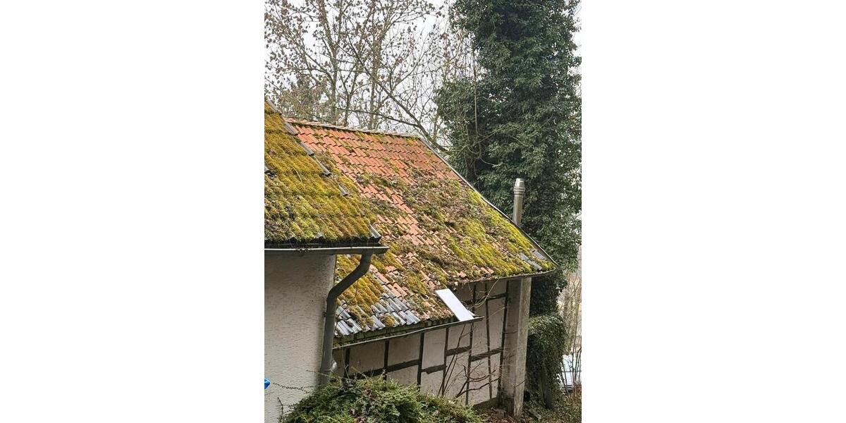 Einfamilienhaus Blankenheim - 9 Zimmer, 220 m&sup2;, 130.000&euro; | Angebot:24762310