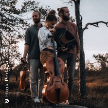 Hartwin Trio - Folk und Weltmusik aus Belgien