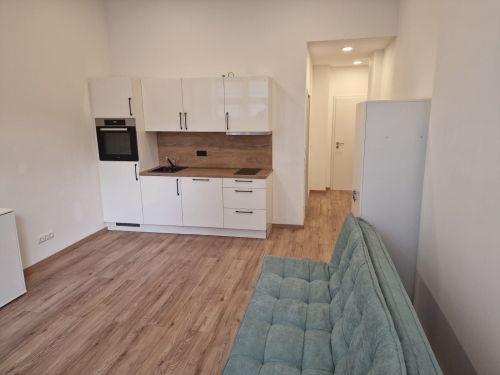 1-Zimmer-Appartement in 97421 Schweinfurt (10692) - Etagenwohnung Schweinfurt Schweinfurt | Angebot:26844283