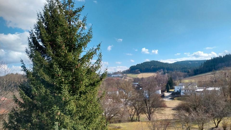 Etagenwohnung Viechtach - 1 Zimmer, 23 m&sup2;, 32.130&euro; | Angebot:26947372