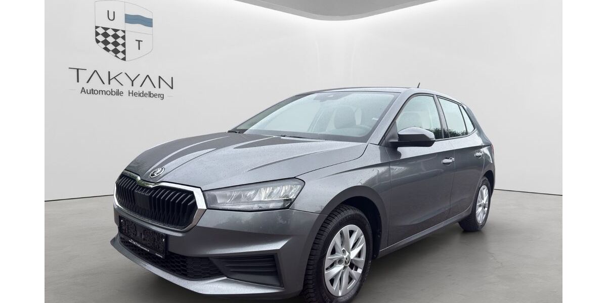 Skoda Fabia 40.000 km 13.990 &euro; Edingen-Neckarhausen 68535