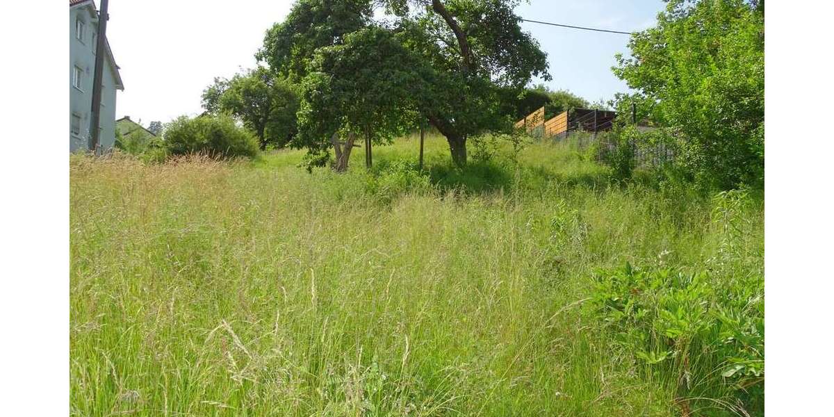 Grundstück Weilrod - 49.000&euro; | Angebot:20280922