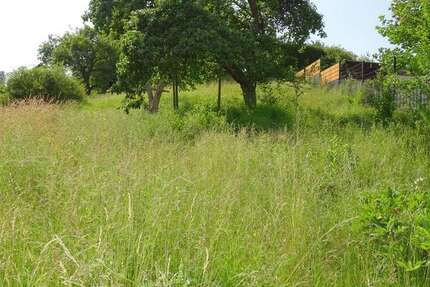 Grundstück zu verkaufen in Weilrod 49.000 € 417 m² zimmer