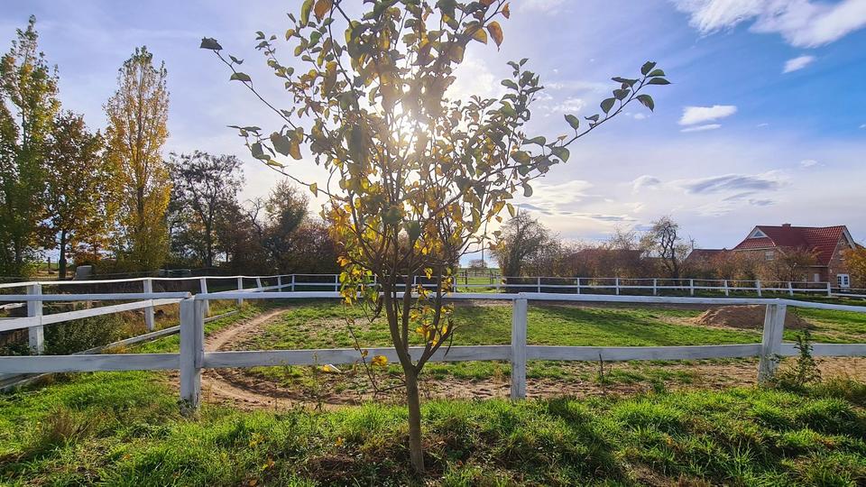 Mehrfamilienhaus, Wohnhaus Hohenhameln - 15 Zimmer, 450 m&sup2;, 1.300.000&euro; | Angebot:26409955