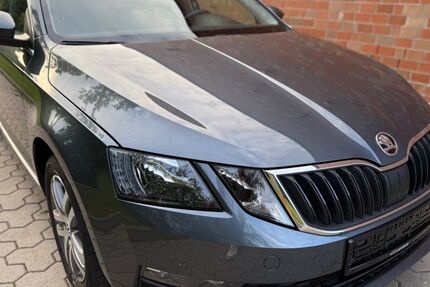 Skoda Octavia 181.567 km 10.490 € Trittau 22946