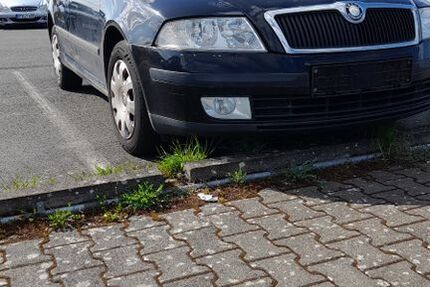 Skoda Octavia 245.000 km 1.785 &euro; Mainz 55129