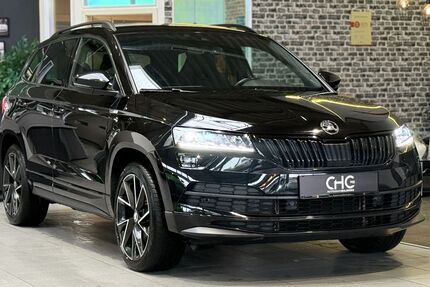 Skoda Karoq 113.600 km 22.490 &euro; Balingen 72336