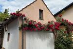 Mehrfamilienhaus, Wohnhaus Biebertal - 7 Zimmer, 180 m&sup2;, 525.000&euro; | Angebot:26940661