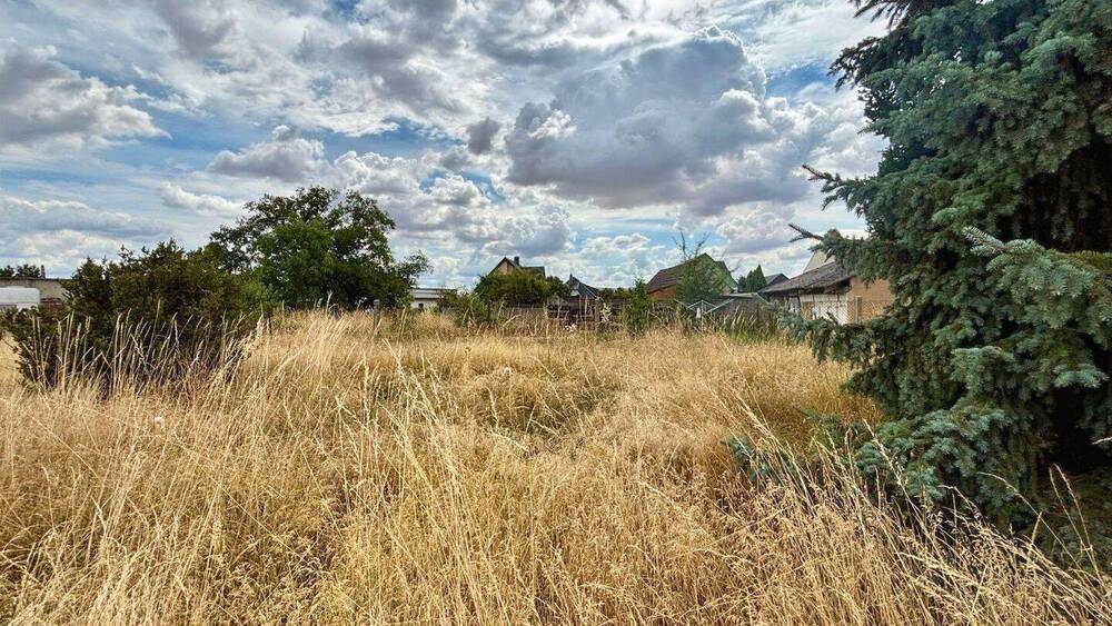 Einfamilienhaus Bad Düben Tiefensee - 3 Zimmer, 62 m&sup2;, 80.000&euro; | Angebot:25733742