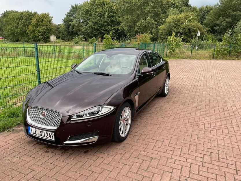 XF