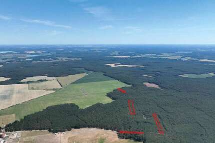 Grundstück Beelitz / Wittbritzen Wittbritzen - 9.900&euro; | Angebot:27180975